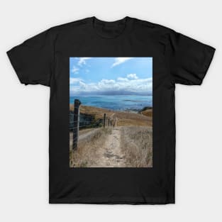 Descending Into Paradise T-Shirt